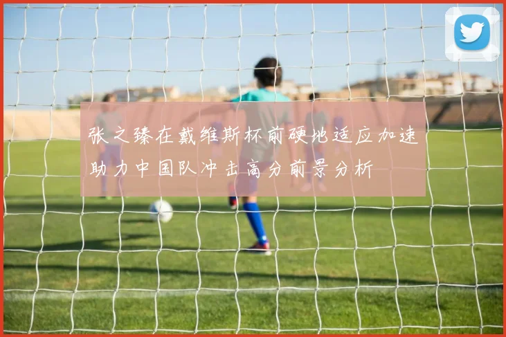 张之臻在戴维斯杯前硬地适应加速助力中国队冲击高分前景分析