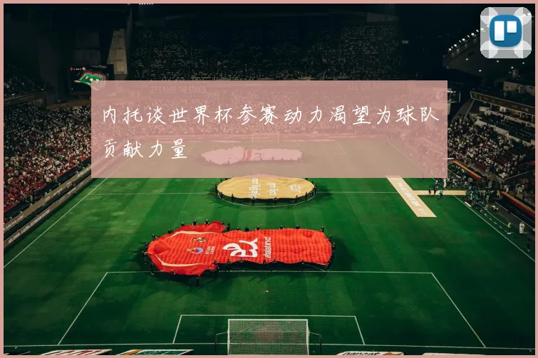 内托谈世界杯参赛动力渴望为球队贡献力量