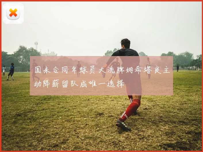 国米合同年球员大洗牌姆希塔良主动降薪留队成唯一选择